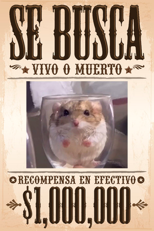 Cartel de Se Busca de Hamter